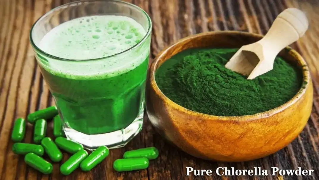 Chlorella Powder Supplier.jpg